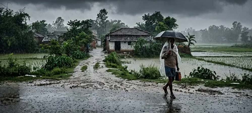यूपी में फिर सक्रिय हुआ मानसून, कई जिलों में भारी बारिश का अलर्ट; किसानों के लिए एडवाइजरी जारी