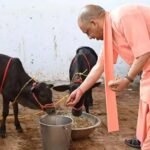 यूपी में 10 हजार गो मित्र बनेंगे, योगी सरकार Gen Z को गो संरक्षण से जोड़ेगी