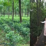 हजारीबाग का डेमोटांड फार्म बनेगा एग्रो टूरिज्म केंद्र, किसानों को मिलेगा प्रशिक्षण
