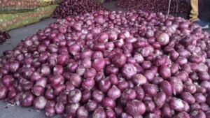 प्याज-लहसुन-अदरक के बढ़े दाम ने बिगाड़ा रसोई का बजट, होटल-ढाबों पर भी असर