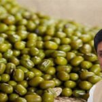 MP MSP Mung Procurement: मध्य प्रदेश में मूंग खरीदी का नया प्लान लागू, किसानों को मिलेगा बड़ा फायदा