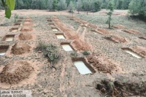 मनरेगा से बदली निम्मलगुड़ा की तस्वीर-500 जल अवशोषण ट्रेंच से बढ़ा भू-जल स्तर, 1,801 मानव-दिवस का मिला रोजगार