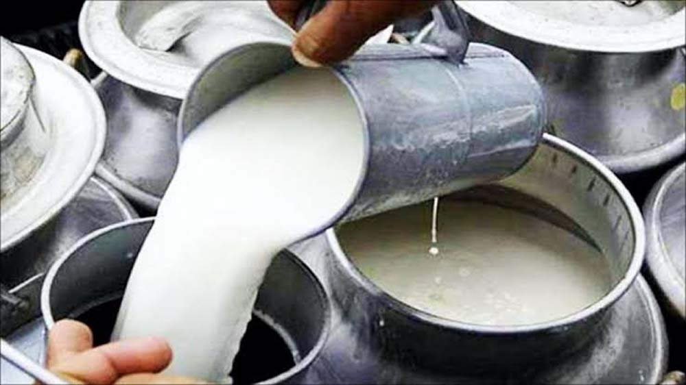 सवाई माधोपुर में दूध के बढ़े दाम, 1 सितंबर से 80 रुपये लीटर बेचने पर सहमति