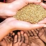 राजस्थान में राशन वितरण पर संकट! 4 सितंबर के बाद खराब हुई POS मशीन तो नहीं मिलेगा गेहूं