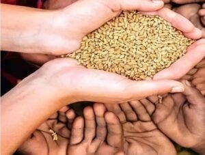राजस्थान में राशन वितरण पर संकट! 4 सितंबर के बाद खराब हुई POS मशीन तो नहीं मिलेगा गेहूं