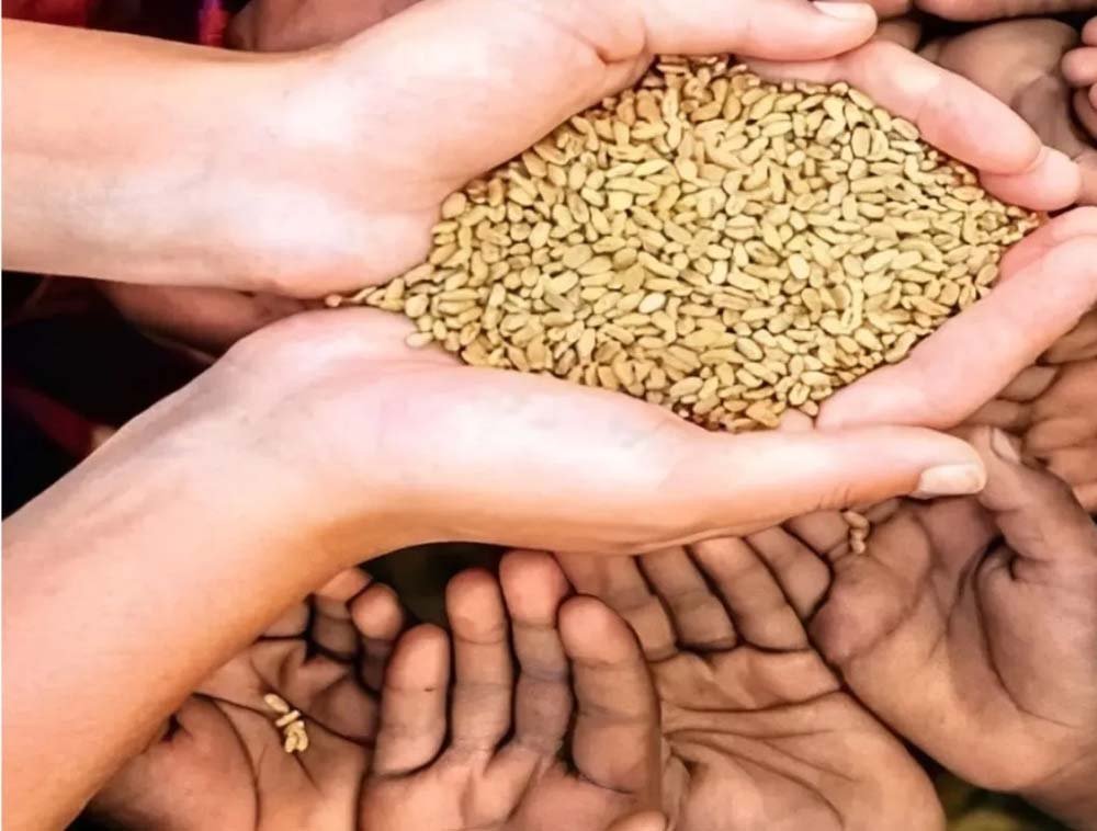 राजस्थान में राशन वितरण पर संकट! 4 सितंबर के बाद खराब हुई POS मशीन तो नहीं मिलेगा गेहूं