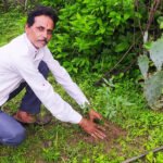 अनूपपुर जिला अध्यक्ष प्रकाश सोनी ने लगाए  नीम का पौधे