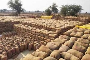धान खरीदी केंद्र में ₹1.31 करोड़ की गड़बड़ी, संस्था प्रबंधक समेत दो गिरफ्तार
