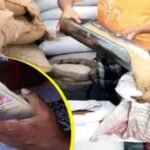 हरियाणा में राशन कार्ड पर बड़ा अपडेट, 6 महीने तक गेहूं-चावल नहीं लिया तो कार्ड हो सकता है बंद