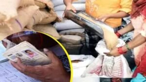 हरियाणा में राशन कार्ड पर बड़ा अपडेट, 6 महीने तक गेहूं-चावल नहीं लिया तो कार्ड हो सकता है बंद