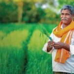 किसानों के लिए बड़ी राहत, मोबाइल से फोटो भेजकर पता चलेगी फसल की बीमारी