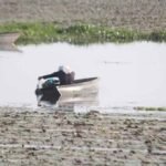 बड़ा तालाब में कीटनाशक छिड़काव पर NGT सख्त, कलेक्टर और नगर निगम को नोटिस