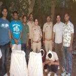 मध्यप्रदेश पुलिस की अवैध मादक पदार्थों के विरूद्ध प्रभावी कार्यवाही