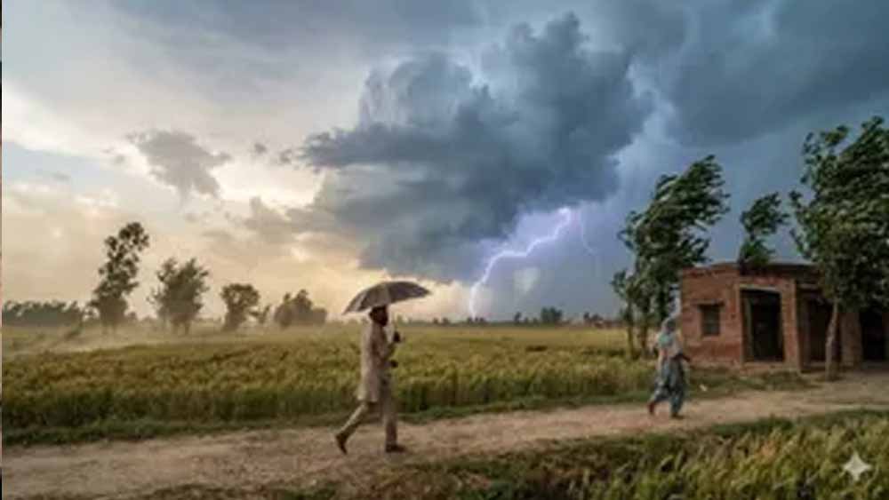 Punjab में सुस्त पड़ा मानसून, बारिश का कोई अलर्ट नहीं; उमस करेगी परेशान
