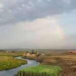 Punjab में अभी एक्टिव रहेगा मानसून, मौसम विभाग ने जारी किया येलो अलर्ट