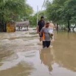 पटियाला के घनौर में फिर घग्गर का खौफ, सड़क पर साढ़े 3 फीट पानी से मचा हड़कंप