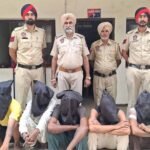 पंजाब पुलिस ने बड़ी साजिश नाकाम की, वारदात से पहले 5 बदमाश हथियारों सहित दबोचे