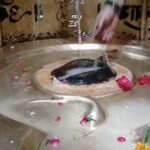 हर हर महादेव से गूंजे शिवालय, सावन के सोमवार पर आस्था का समुद्र
