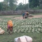 तेन्दूपत्ता संग्रहण की नई पहल से अबुझमाड़ के 22 गांवों को मिला लाभ