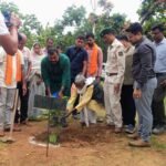 एक पेड़ माँ के नाम अभियान से बदली उजड़ी वन भूमि की तस्वीर