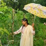 ड्रिप विधि से सब्जी की खेती ने बनाया ‘लखपति दीदी’, सालाना डेढ़ लाख की कमाई