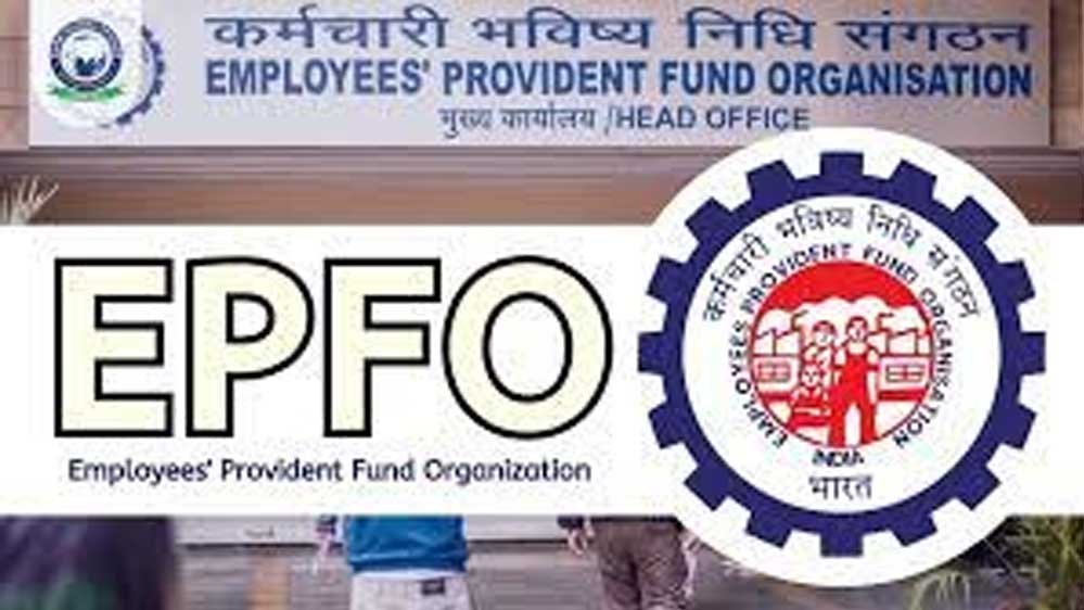 EPFO का बड़ा नियम: नौकरी छूटते ही निकाल सकेंगे PF का 75% पैसा, जानें पूरी प्रक्रिया