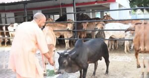 सीएम योगी की गोसंरक्षण नीति का असर : करोड़ों कमा रहे युवा, बढ़ रहा रोजगार
