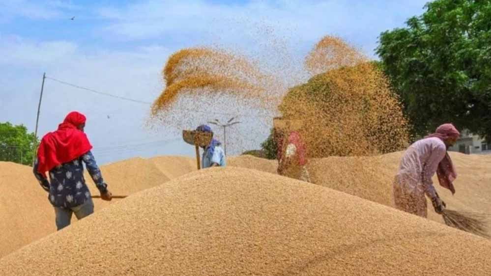 योगी सरकार में एमएसपी पर रिकॉर्ड गेहूं खरीद से किसानों को मिली आर्थिक मजबूती