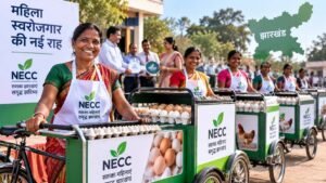 झारखंड की महिलाओं को मिला स्वरोजगार का मौका, 6 जिलों में बांटे गए एगकार्ट