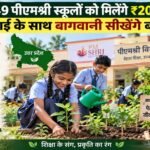 यूपी के 49 पीएमश्री स्कूलों को मिलेंगे ₹20-20 हजार, पढ़ाई के साथ बागवानी सीखेंगे बच्चे