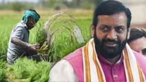 हरियाणा में किसानों के लिए बड़ा फैसला, धान छोड़ने पर 5 साल तक बढ़ती जाएगी प्रोत्साहन राशि