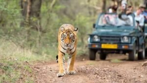 झारखंड में 1 अक्टूबर से जंगल सफारी शुरू, ऑनलाइन बुकिंग भी चालू
