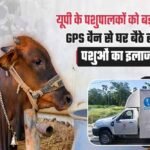 गोवंश को तुरंत मिलेगा उपचार, हर जिले में बनेगा इमरजेंसी रेस्क्यू सिस्टम