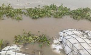 MP में बाढ़ का असर पहले बताएगा ‘गरुड़’, 413 निकायों का GIS डेटा तैयार; जलस्तर बढ़ते ही दिखेगा खतरा