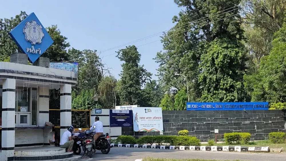 दूध में मिलावट पकड़ना होगा आसान, NDRI ने बनाई 8 मिनट में फार्मेलिन जांचने वाली स्ट्रिप