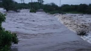 MP-छत्तीसगढ़ का संपर्क टूटा, शहडोल में बारिश बनी आफत; बाणसागर के 8 गेट खुले