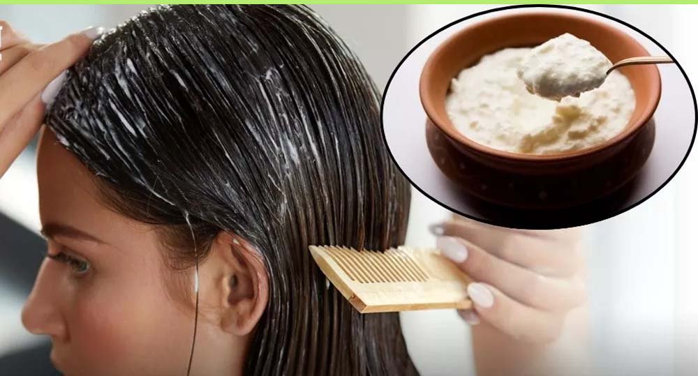 बालों की चमक और सॉफ्टनेस के लिए लगाएं दही, इन 3 तरीकों से करें इस्तेमाल