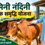 गोरखपुर में मिनी नंदिनी योजना का बढ़ा दायरा, 20 नए लाभार्थी जुड़े; संख्या 26 हुई