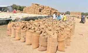 सुकमा में खुलेंगे 6 नए धान खरीदी केंद्र, किसानों को मिलेगी बड़ी सुविधा