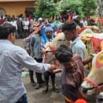 CG में पोला पर्व की धूम, CM विष्णुदेव साय कार्यक्रमों में होंगे शामिल