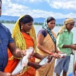 प्रधानमंत्री मत्स्य संपदा योजना से मल्हनिया जलाशय में बदली मछुआरों की जिंदगी