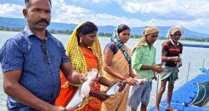 प्रधानमंत्री मत्स्य संपदा योजना से मल्हनिया जलाशय में बदली मछुआरों की जिंदगी