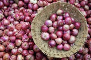 3 महीने में 82% महंगा हुआ प्याज, ₹30 से बढ़कर ₹54 किलो पहुंचा भाव