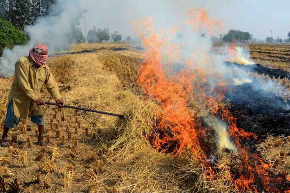 विदिशा में लगेगा CBG प्लांट, अब पराली नहीं जलेगी बल्कि किसानों की बढ़ेगी कमाई