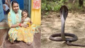सांप के डसने से 4 साल की बच्ची की मौत, परिजनों ने अस्पताल पर लगाए गंभीर आरोप