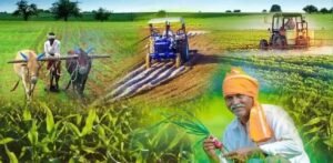 बिहार के DMI पटना के छात्र पंजाब के गांवों में सीखेंगे विकास प्रबंधन के गुर, चार हफ्ते रहेगा प्रवास