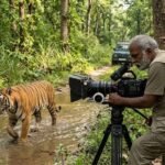 रणथंभौर की ‘मछली’ के बाद यूपी के जंगलों पर नल्ला मुथु की नजर, वन विभाग ने खोला नया प्लान