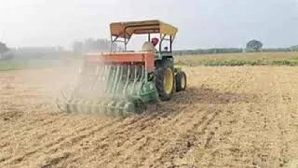 बिहार के किसानों के लिए कृषि विश्वविद्यालय की सलाह, 15 नवंबर तक गेहूं की बुआई पूरी करने पर जोर