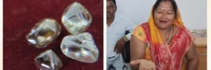 पन्ना में चमकी गुड्डी की किस्मत, एक ही खदान से मिले 4 हीरे; कीमत करीब 10 लाख