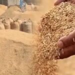 झारखंड के किसानों को अब धान पर मिलेगा ₹109 प्रति क्विंटल बोनस, सरकार पर पड़ेगा ₹43.60 करोड़ का अतिरिक्त बोझ